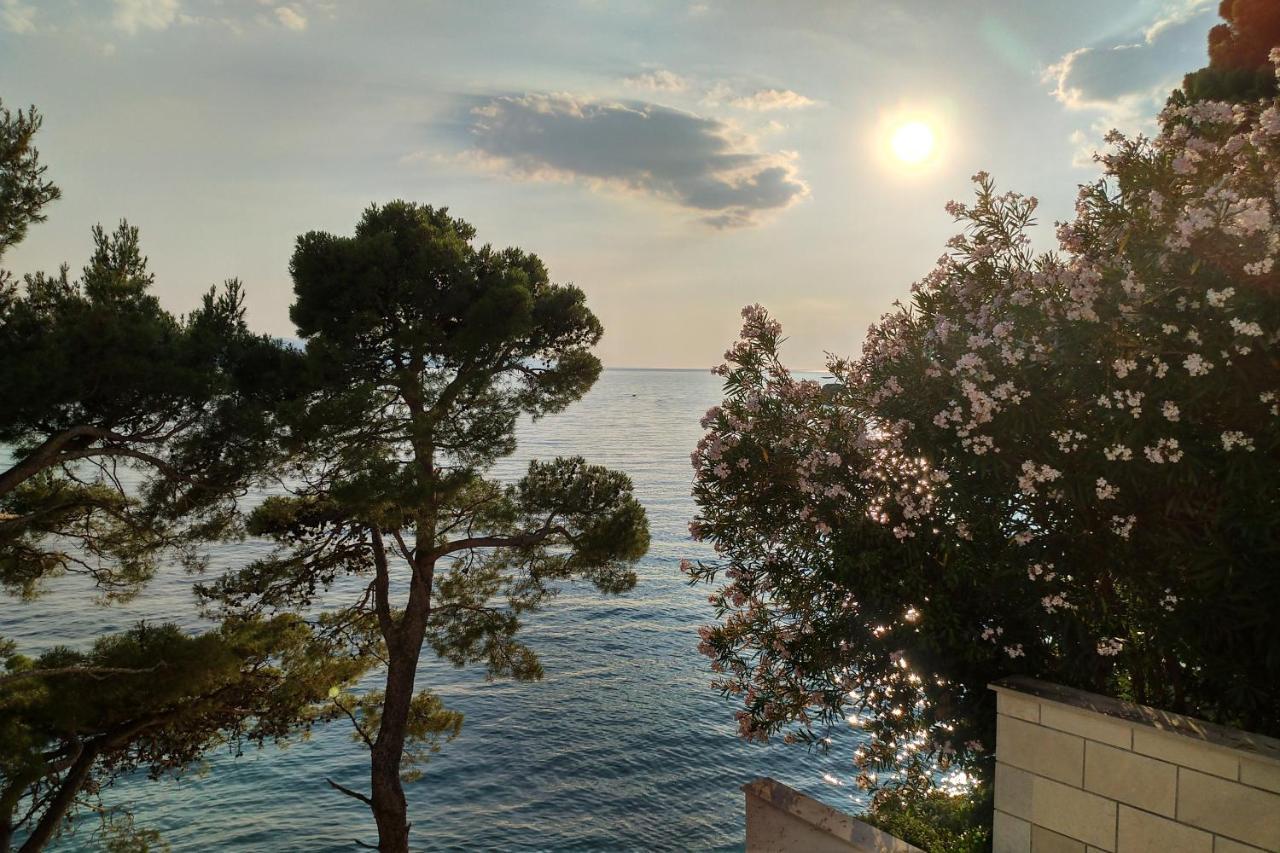 Sun Residence Brela Dış mekan fotoğraf
